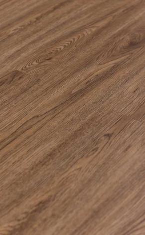6079-4 Hot & New LVT/WPC flooring