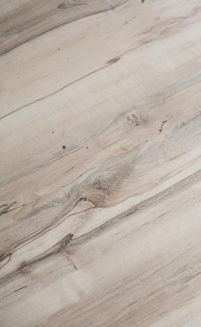 131-2 HOT & NEW LVT/WPC FLOORING