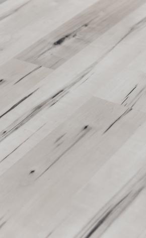 309-1 HOT & NEW LVT/WPC FLOORING