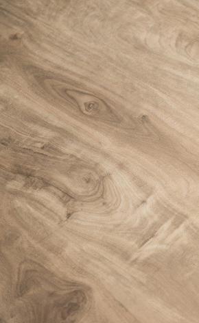 160-8 HOT & NEW LVT/WPC FLOORING