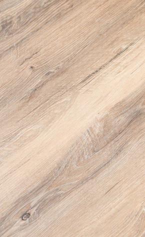 189-3 HOT & NEW LVT/WPC FLOORING