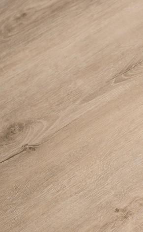 201-20 Hot & New LVT/WPC flooring
