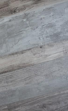 2004-1 Hot & New LVT/WPC flooring