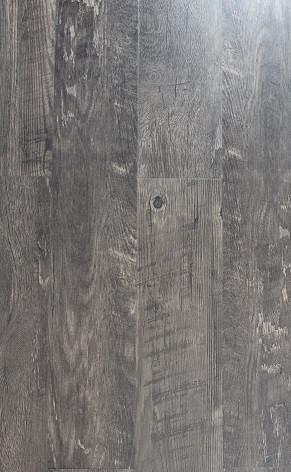 6146-6 HOT & NEW LVT/WPC FLOORING