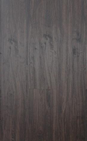 6148-1 HOT & NEW LVT/WPC FLOORING